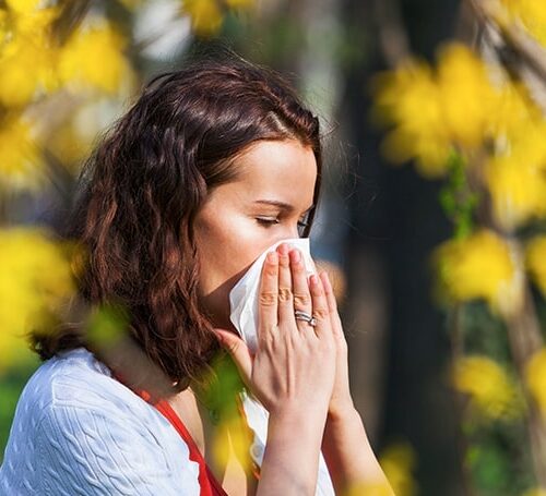 Como amenizar os sintomas da alergia da primavera